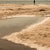 Guy Sargent, The Hottest Day, Archival Pigment Print For Sale - Image 4 of 5