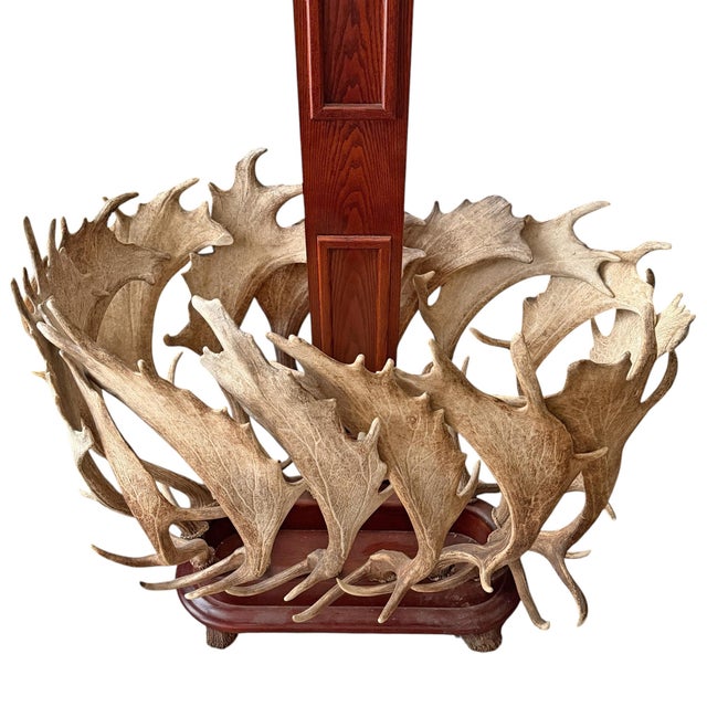 Vintage Fallow Deer Antler Hall Tree For Sale - Image 12 of 15