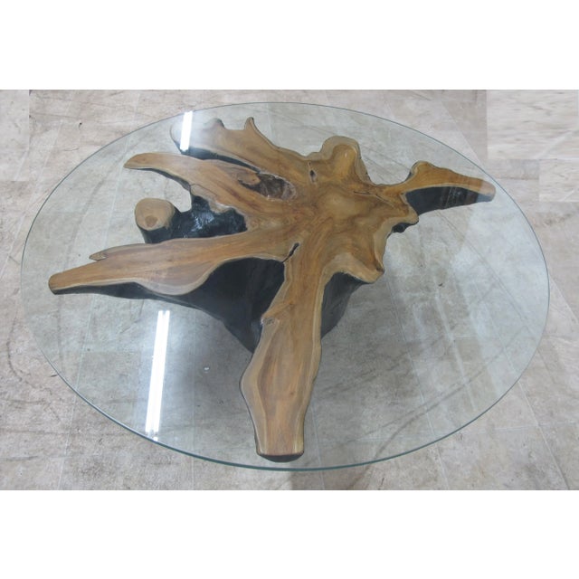 Organic Modern Star Teak Root Coffee Table For Sale - Image 4 of 10