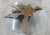 Organic Modern Star Teak Root Coffee Table For Sale - Image 4 of 10