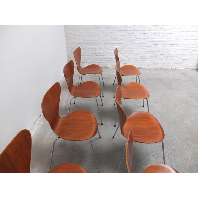 Wood Series 7 Chairs in Teak by Arne Jacobsen for Fritz Hansen, 1955, Set of 8 For Sale - Image 7 of 17