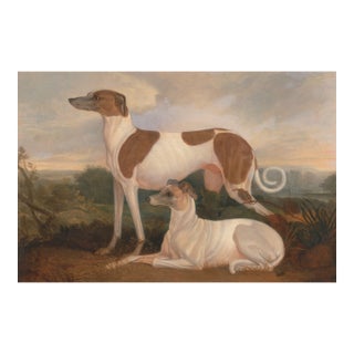 Vintage Greyhound Dog Art Print by Charles Hancock - 60" X 40" For Sale