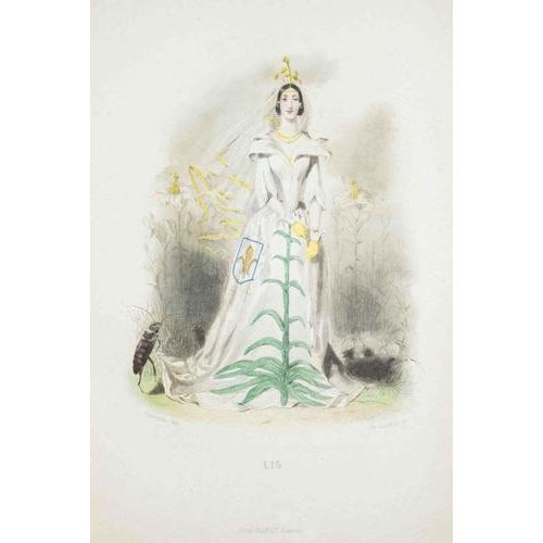 Lithograph on paper. Plate from the series "les fleurs animées". Single sheet with passepartout. "remember\. That true...