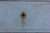 Antique Gustavian Painted Chest of Drawers, 1770 For Sale - Image 12 of 14