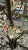 Brown French Pair of Wrought Iron and Crystal Branch Chandeliers For Sale - Image 8 of 10