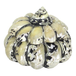Vintage Shell Trinket Box For Sale