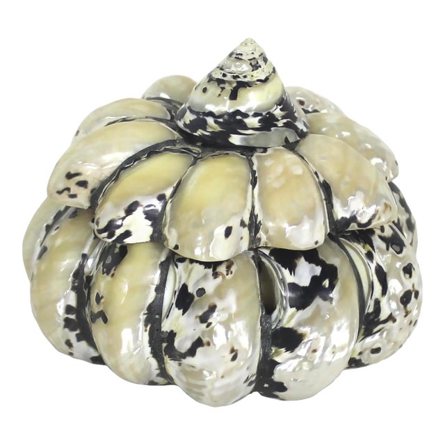 Vintage Shell Trinket Box For Sale