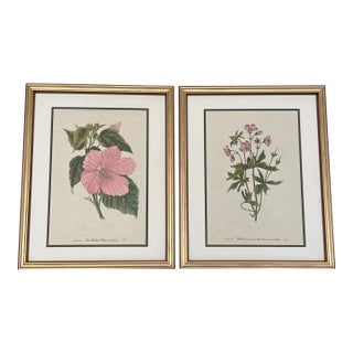 Vintage Botanical Prints Set of 2 - Authentic 1953 Prints For Sale