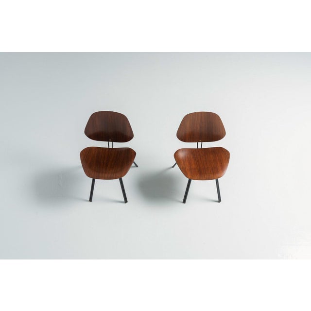 Wood Italian P31 Chairs by Osvaldo Borsani for Tecno, 1957, Set of 2 For Sale - Image 7 of 13