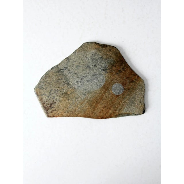 Mid 20th Century Vintage Bison Painting on Slate Rock For Sale - Image 5 of 7