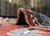 Textile Oriental Hand Knotted Round Rug 8' x 8' #21389 For Sale - Image 7 of 8