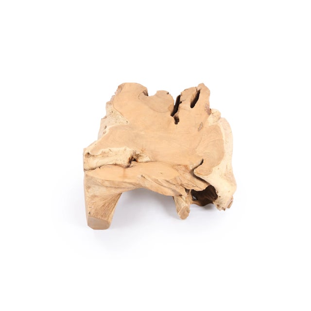 Free Form Teak Root Coffee Table For Sale - Image 4 of 5