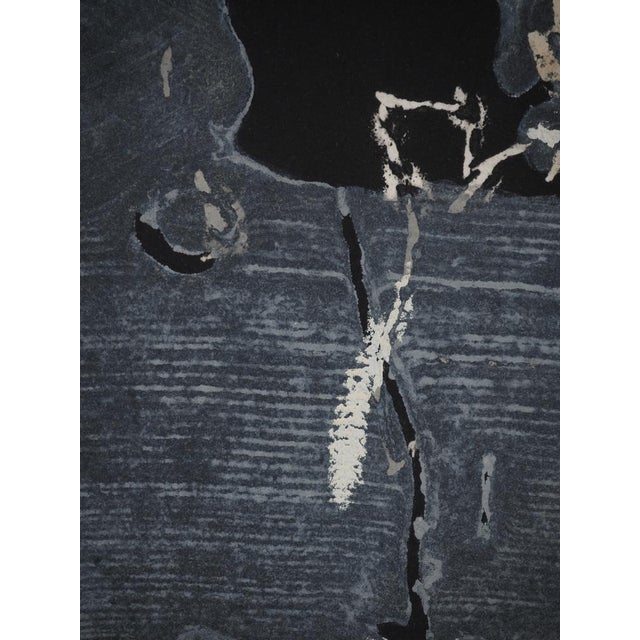 François-Xavier Fagniez, Le pélican, Etching For Sale - Image 6 of 9