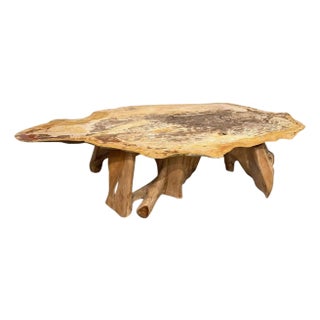 Andrianna Shamaris Live Edge Petrified Wood Coffee Table with Organic Teak Base For Sale