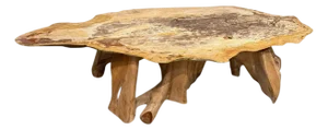 Andrianna Shamaris Live Edge Petrified Wood Coffee Table with Organic Teak Base