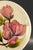 Pink Moorcroft Flambe Pottery Plate With Magnolia Blooms, England 10.5" For Sale - Image 8 of 14