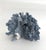 Shell Natural Blue Coral Specimen For Sale - Image 7 of 7