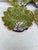Continental Majolica Leaf Plate Circa 1900 For Sale - Image 4 of 7
