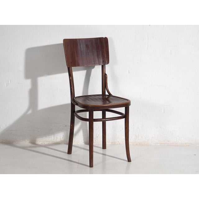 Wood Bentwood Chairs attributed to Michael Thonet, 1940s, Set of 4 For Sale - Image 7 of 12