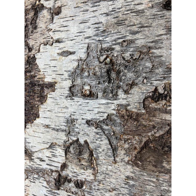 Birch Bark Bookcase by Sophie Gallardo & George Guillaume Cassan For Sale - Image 16 of 18