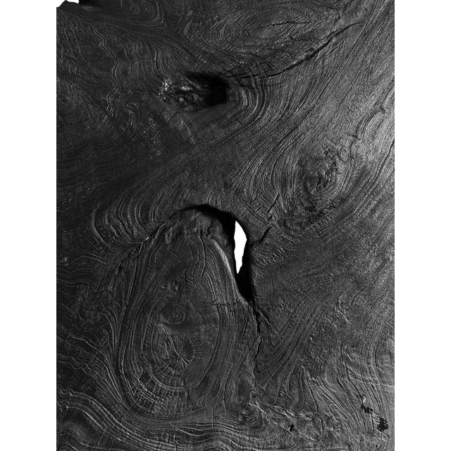 Black Black Natural Edge Slab Organic Modern Bench/Coffee Table For Sale - Image 8 of 10