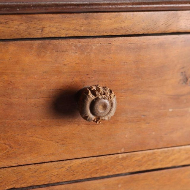 Cappuccino Chest of Drawers in Walnut For Sale - Image 3 of 10