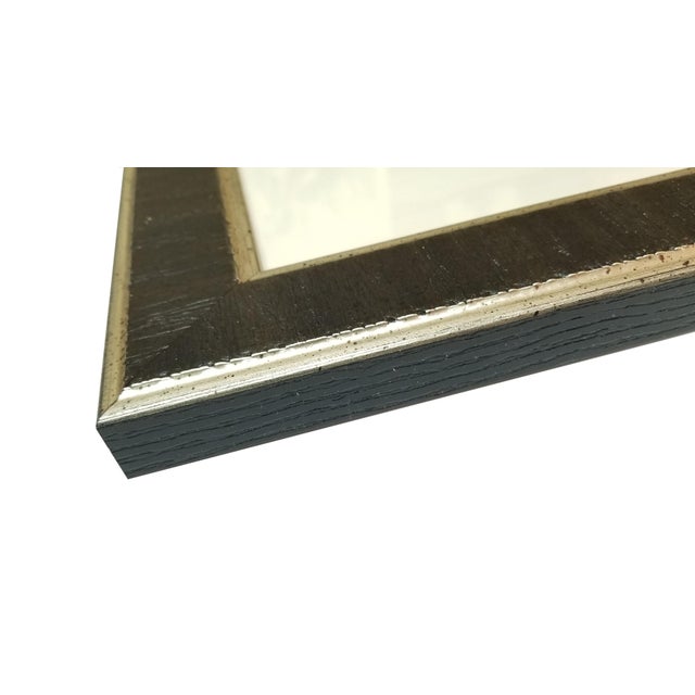 Munting Botanicals Set 3 Framed in Italian Wood Veneer Moulding Chairish