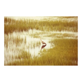 Massachusetts Heron, Signed Limited Edition Print, 2013 For Sale