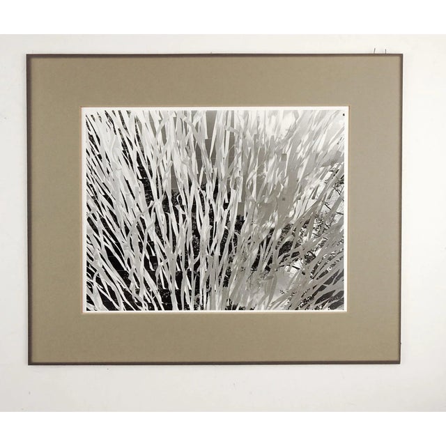 Abstract photograph of streamers. Unsigned, mounted on backing with gray mat attached, opening size 8" x 10", fading to mat.