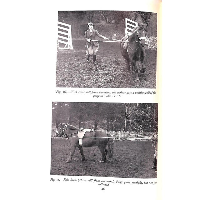 "Holly: The Education of a Pony" 1949 Wynmalen, Julia (Inscribed) For Sale - Image 9 of 10