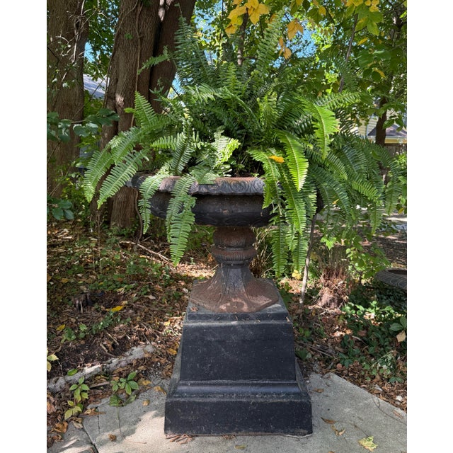 Black Antique Large Cast Iron Planter on Plinth With Rare Daisy Pattern For Sale - Image 8 of 10