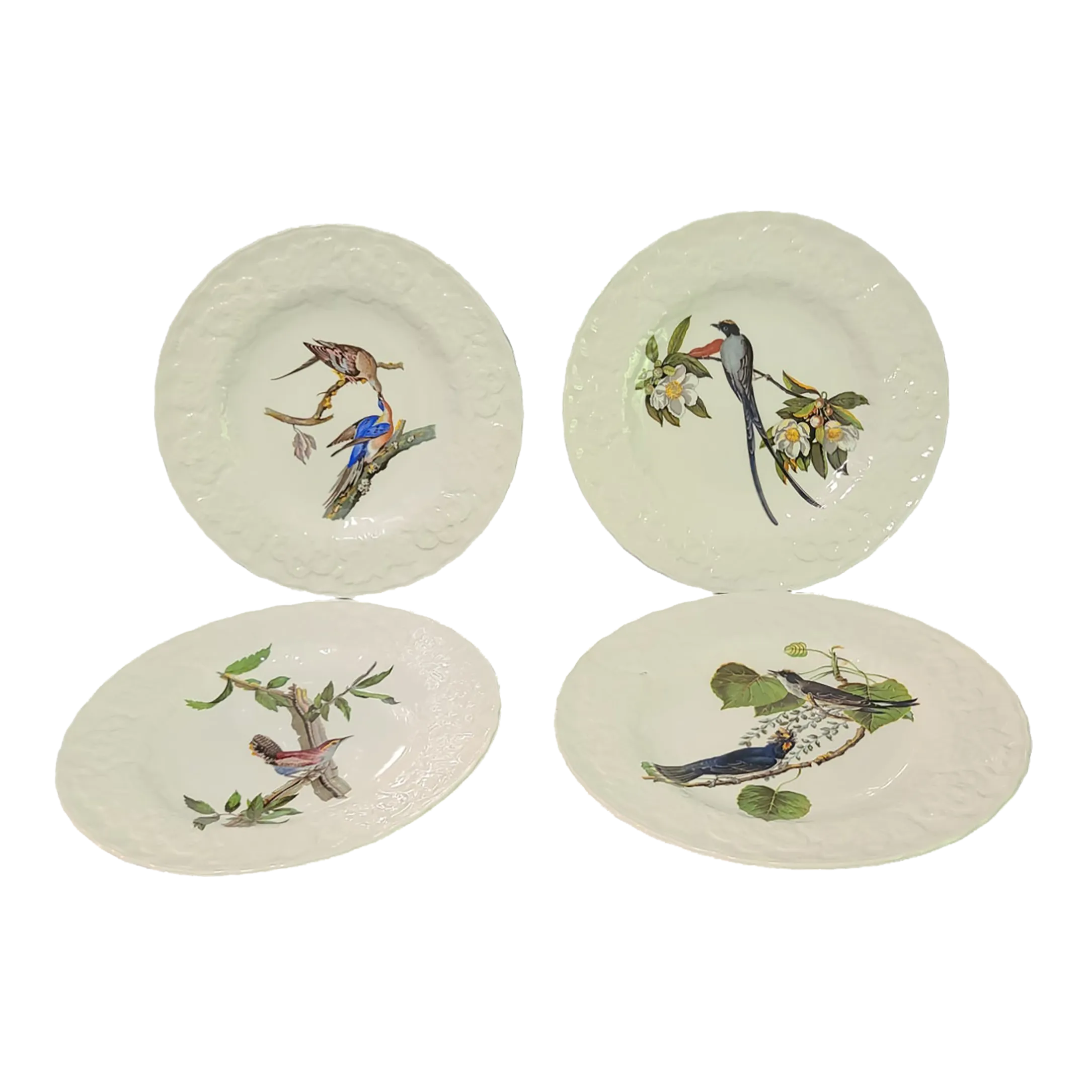 Vintage Alfred Meakin England Porcelain Audubon Society 