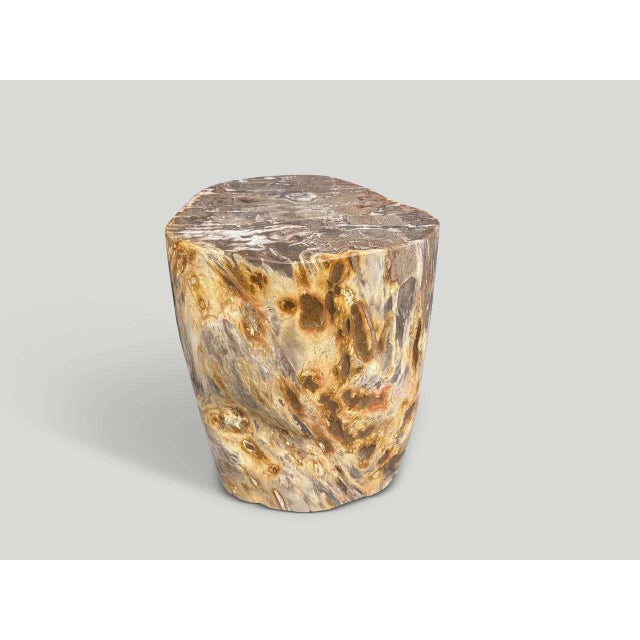 "Impressive rare coral tone high quality petrified wood side table. It’s fascinating how Mother Nature produces these...