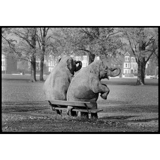 Arthur Steel: Bench Press, Limited Edition Photograph 44 X 31” For Sale
