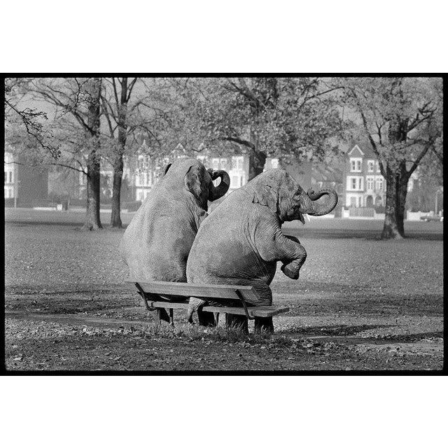 Arthur Steel: Bench Press, Limited Edition Photograph 44 X 31” For Sale