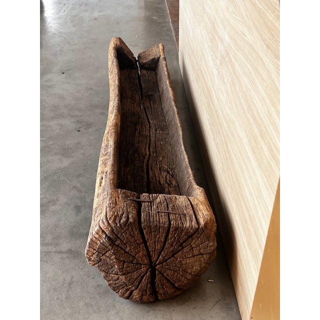 Wood Spanish Antique & Brutalist Hollowed Out Tree Trunk Wooden Planter, 1700 For Sale - Image 7 of 12