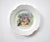 Early 20th Century Antique Children's Plates - Set of 4 For Sale - Image 5 of 9