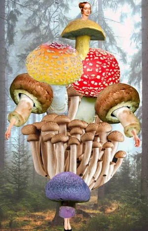 Johanna Goodman, Plate No. 59: Abstract Collage with Mushrooms, 2020s, Giclee Print