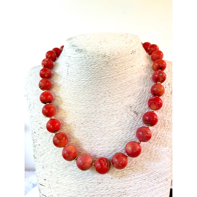 Gorgeous coral beaded necklace with 13 mm beads and gold tone clasp design designed by Matthew Izzo.