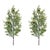 Rustic Pine Spray (Set of 2) For Sale - Image 3 of 3