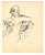 Mino Maccari, Seductive Nude, Ink Drawing, 1960s For Sale