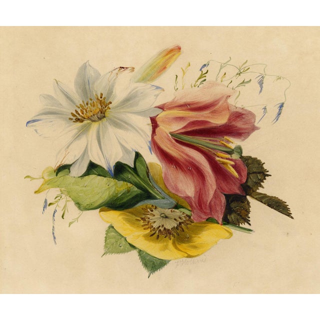 Ceramic James Holland OWS, Flower Posy with Tulip & Clematis, Watercolour For Sale - Image 7 of 7