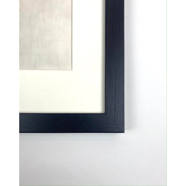 Exquisite Botanical photogravure from famed Urformen Der Kunst portfolio by Blossfeldt . Karl Blossfeldt (1865 - 1932) was...