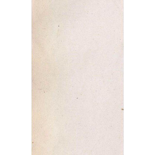 Ferrario, Chinese Farmer with Water Buffalo Agricultural Scene, 1815, Print For Sale - Image 6 of 14