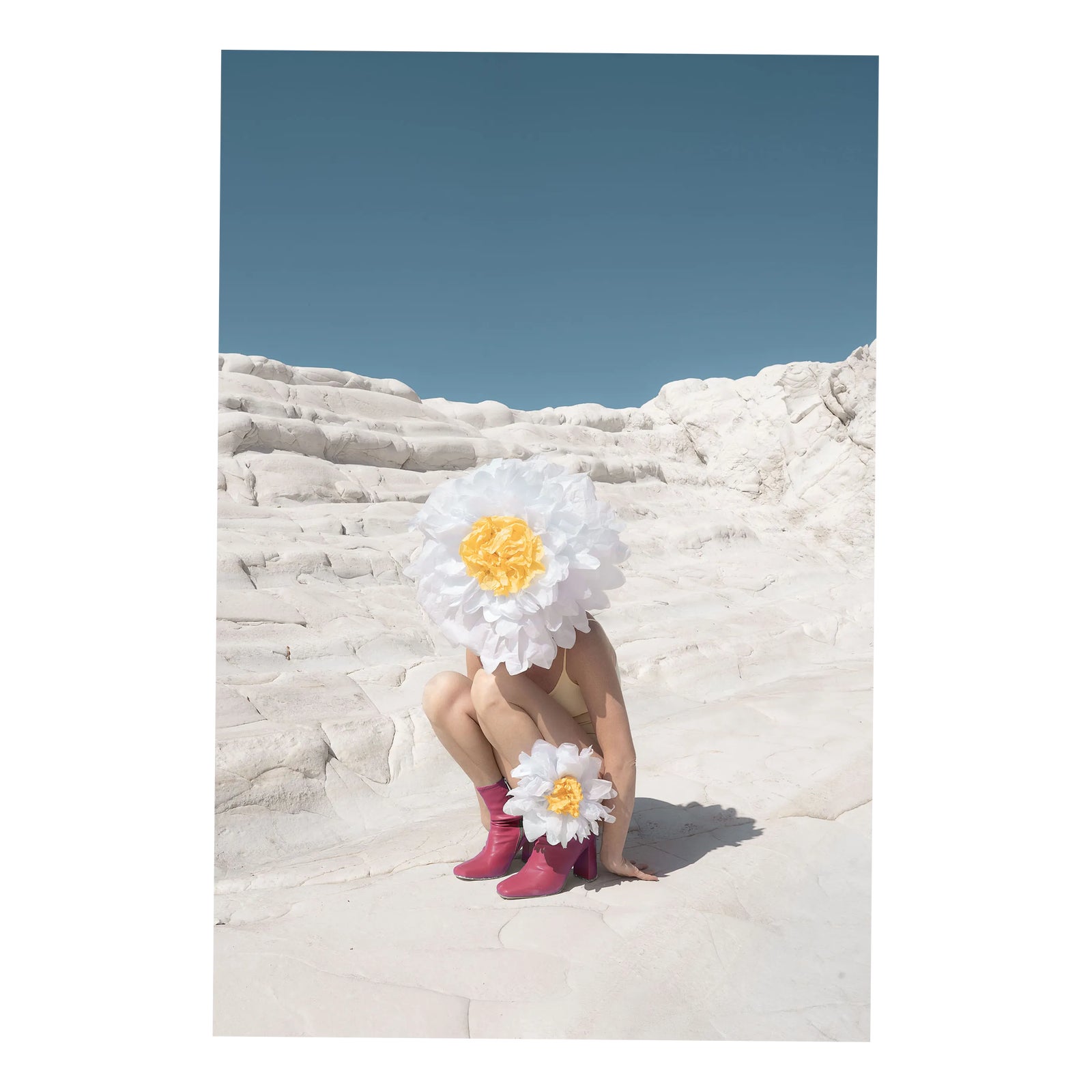 Carla Sutera Sardo, Daisy Girl, 2025, Photographic Print | Chairish