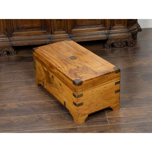 Brown English 1890s Camphor Wood Small Trunk with Brass Accents and Bracket Feet For Sale - Image 8 of 10