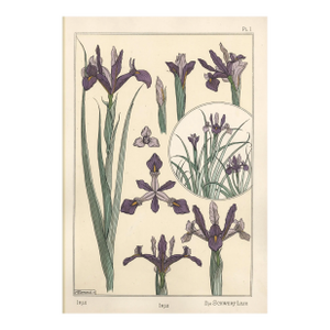 Rare! 1896 Antique French Art Nouveau Pochoir Lithograph by Grasset-Iris, Matted
