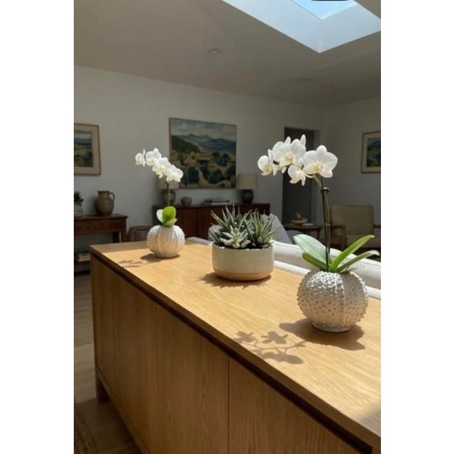 Pair of Vintage Italian White Ceramic Sea Urchin Vases For Sale - Image 11 of 12