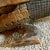 Large Wood Alligator Folk Art Sculpture For Sale - Image 10 of 18