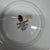 Traditional Vintage Wedgwood England Palatia Pattern Cup & Saucer - Set of 6 For Sale - Image 3 of 7